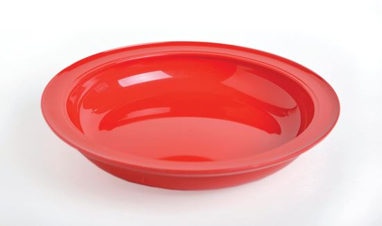 Prism Health Services. Adaptive special plates and bowls for people with  special needs.