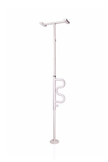 Picture of Security Pole & Curve Grab Bar
