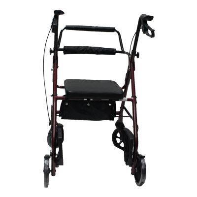 Picture of Rollator: Basic & Bariatric
