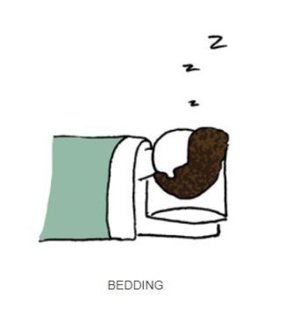 Picture for category Bedding