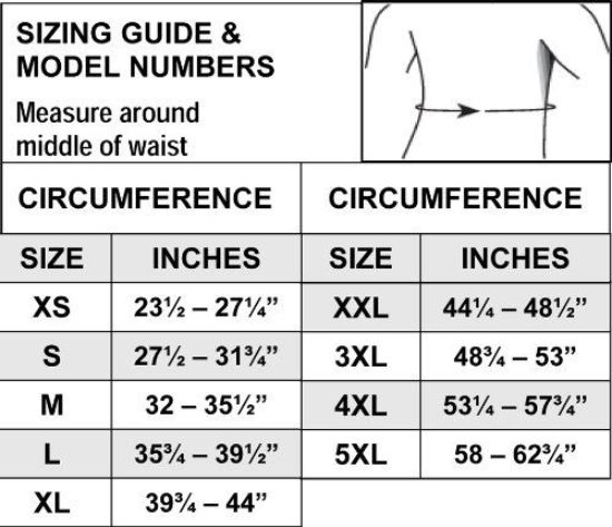Picture of Back Support Belt