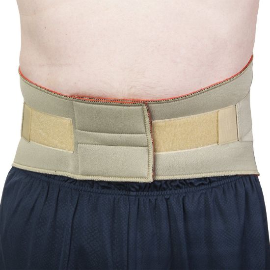 Picture of Back Support Belt